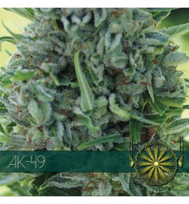 AK-49. fem. 3u Vision Seeds