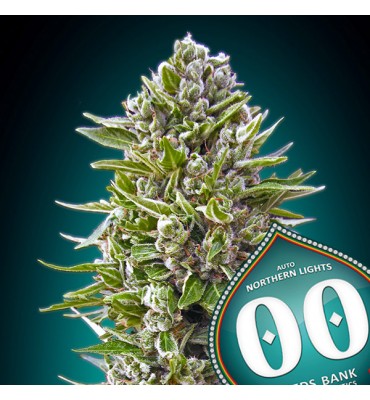 Auto Northern Lights 25 u....