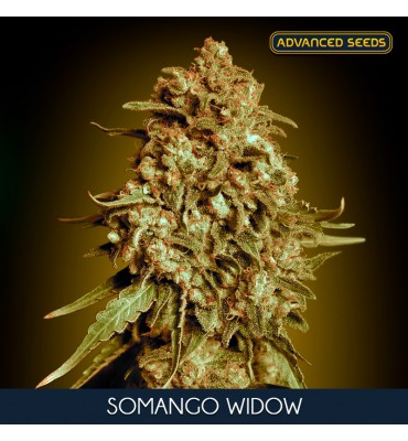 Somango Widow . fem....