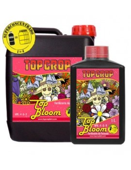 TOP BLOOM